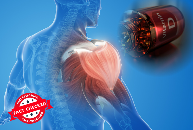 Can High-Dose Vitamin D Turn Calories Into Muscle Instead of Fat? - Fact Crescendo Sri Lanka English