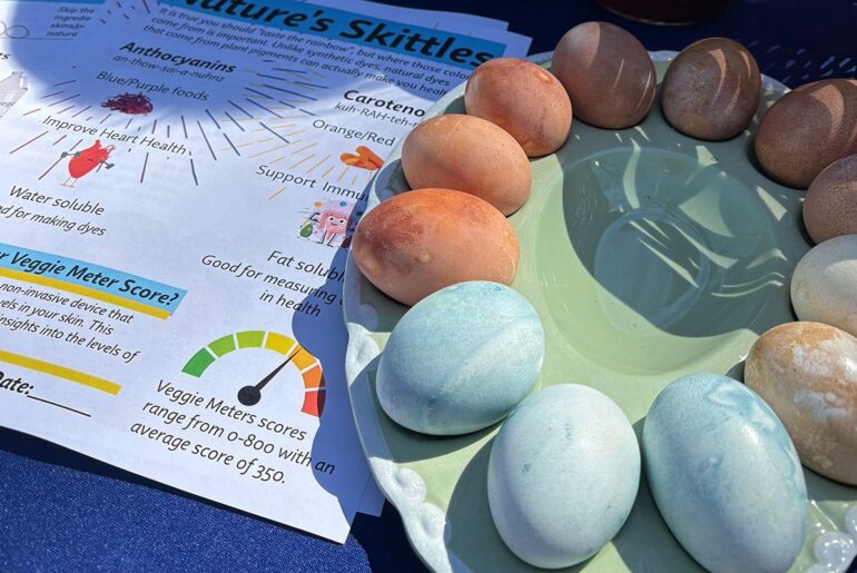 Family Nutrition Program encourages families to dye eggs with vegetables