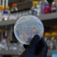 Researchers Use Vitamins to Decode Complex Interactions in the Soil Microbiome