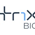 Tr1X Aims to Reset Immunity with Off-the-Shelf Cell Therapies
