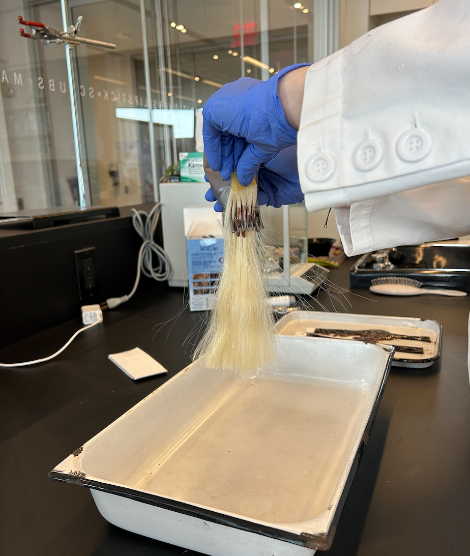 Experimentation involving a hair-like sample being analyzed.