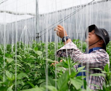 a One Health agenda for action and accountability