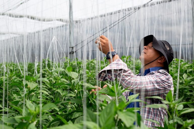 a One Health agenda for action and accountability