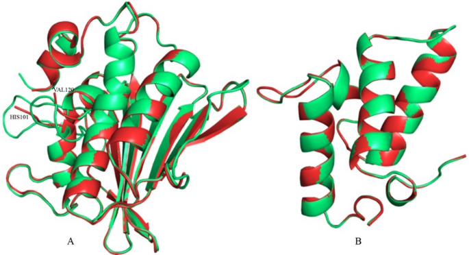 Investigating Escherichia coli Colicin E9 immunity protein interactions with DNA gyrase of Pseudomonas aeruginosa: advanced computational approach for developing novel antimicrobial strategies