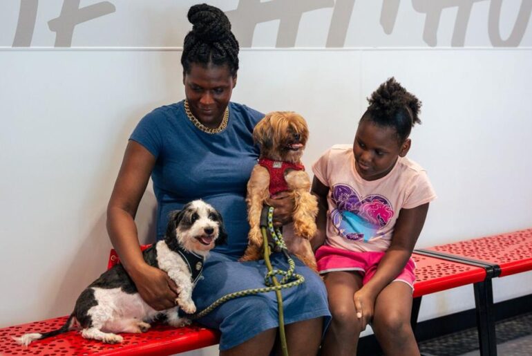 BVSPCA launches walk-in pet wellness clinics