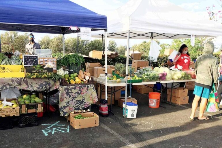 Senior Farmers Market Nutrition Program applications accepted : Maui Now