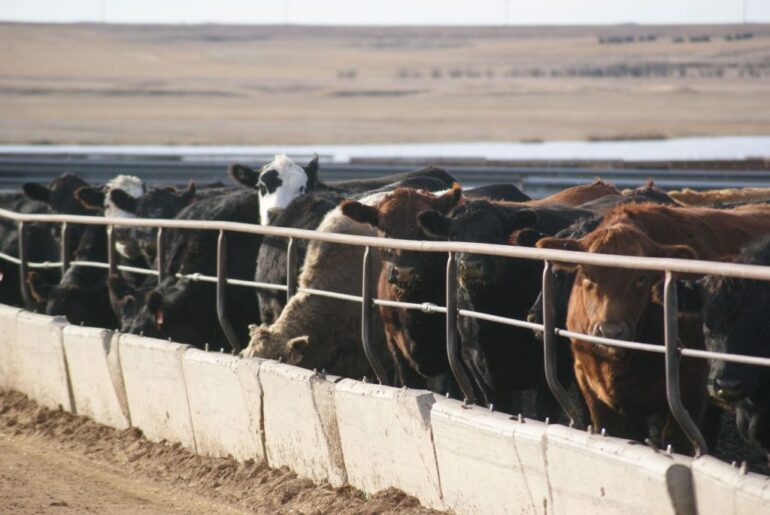 Connecting nutrition and conservation: The importance of CPS 592