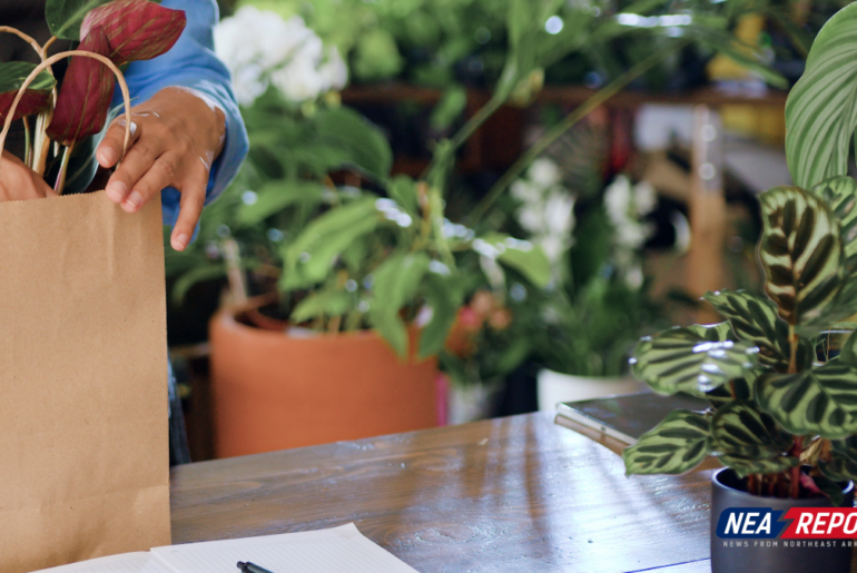 Health, Wellness & Environmental Studies Student-Grown Plant Sale