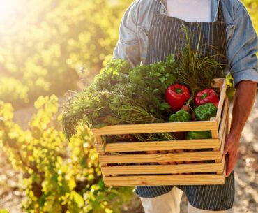 Researchers find 25 ways to rate meals and diets for both health and environmental impact