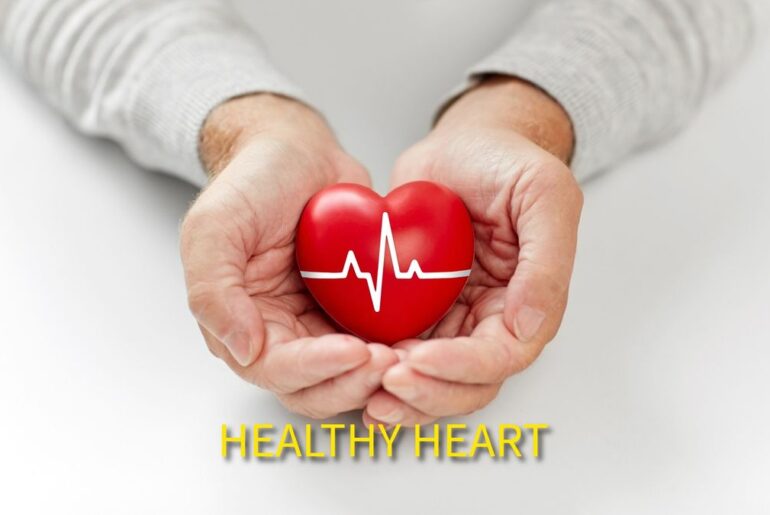 Healthy Heart fair brings wellness info, diabetic care to Vidalia comm...