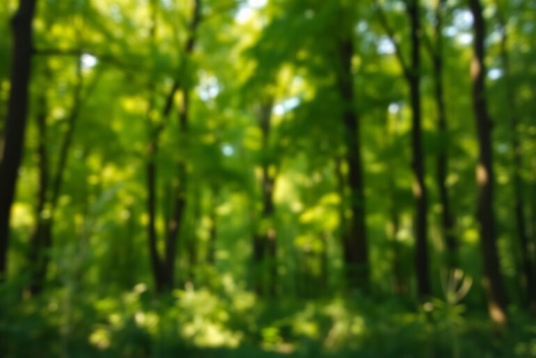 An abstract, impressionistic scene of a dense forest with blurred, hazy foliage and soft, warm lighting, conveying a sense of tranquility and connection with the natural world.