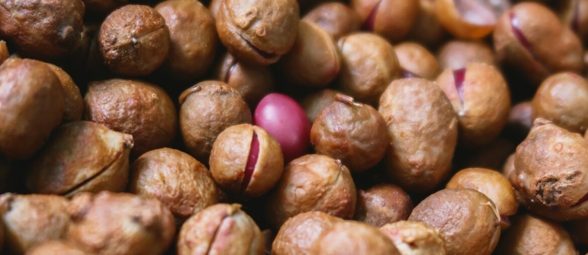 What Are the Health Benefits of Bambara Groundnut?