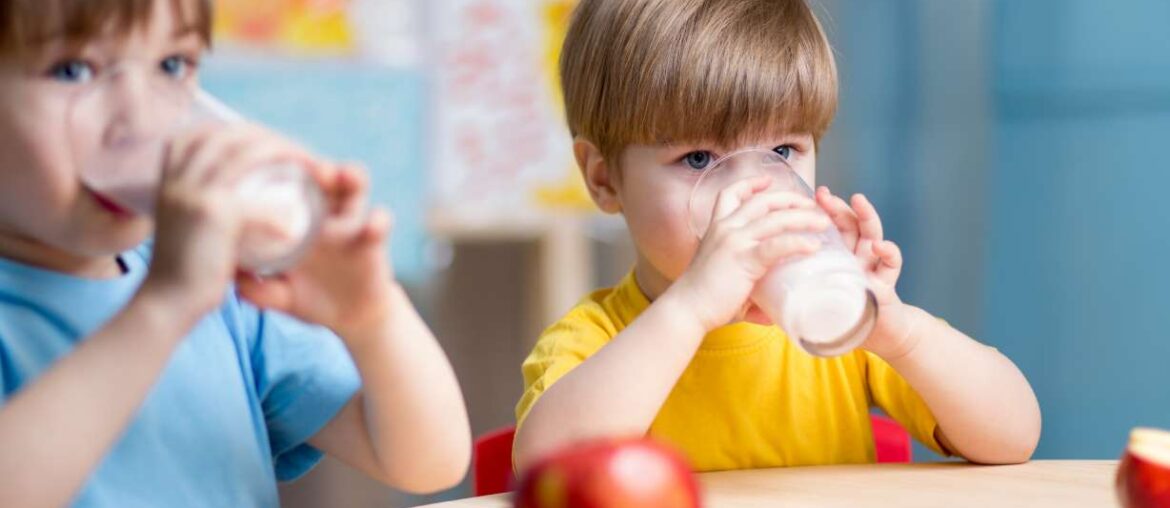 Whole milk at school: What parents should know about this nutrition shift
