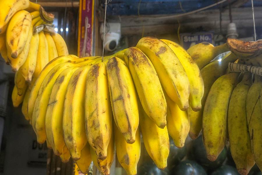 Kathali bananas