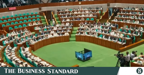 Parliament ratifies ordinance granting immunity to July fighters