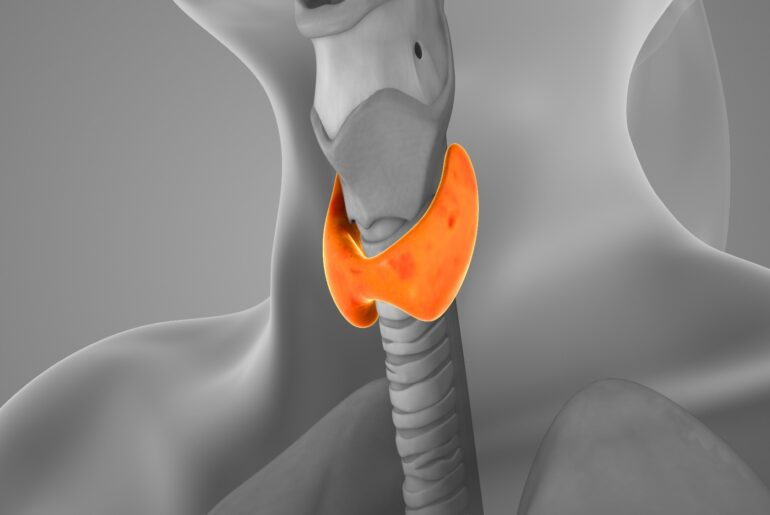 Can diet influence thyroid disease? A major review points to Mediterranean-style eating