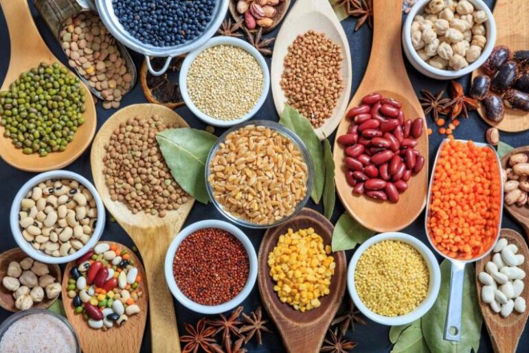 Plant Based Protein Supplements Market 2026