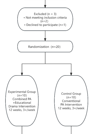 Effects of a combined physical activity and educational drama intervention on core symptoms and physical fitness in children with ASD