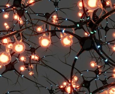 Is The Next Wave of Wellness a Fitbit for Your Brain?