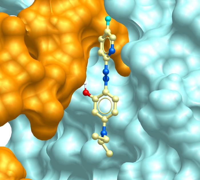 Study shows new drug compounds dial down inflammation without compromising immunity