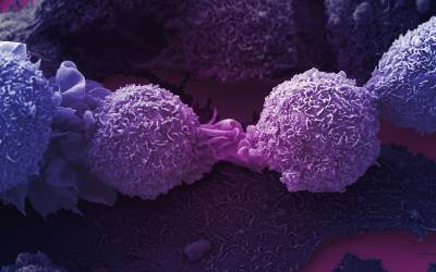 New method makes cancer cells more visible to immune system