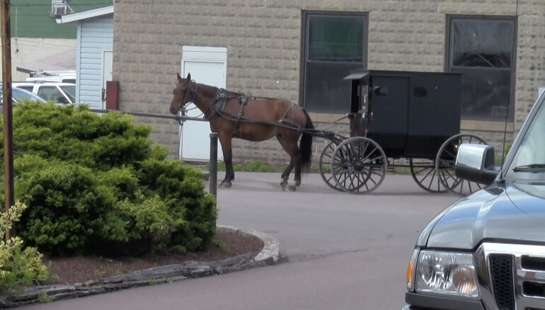 A horse and buggy are parked in downtown Meyersdale