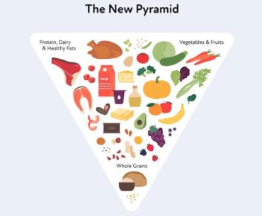 food pyramid
