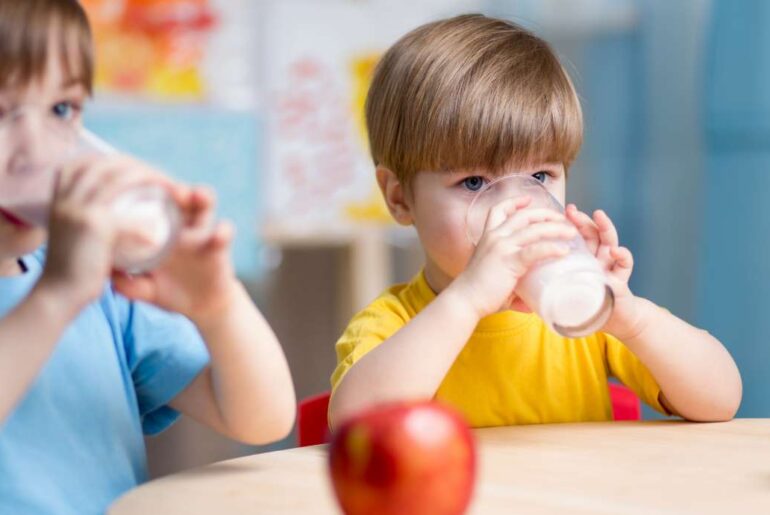 Whole milk at school: What parents should know about this nutrition shift