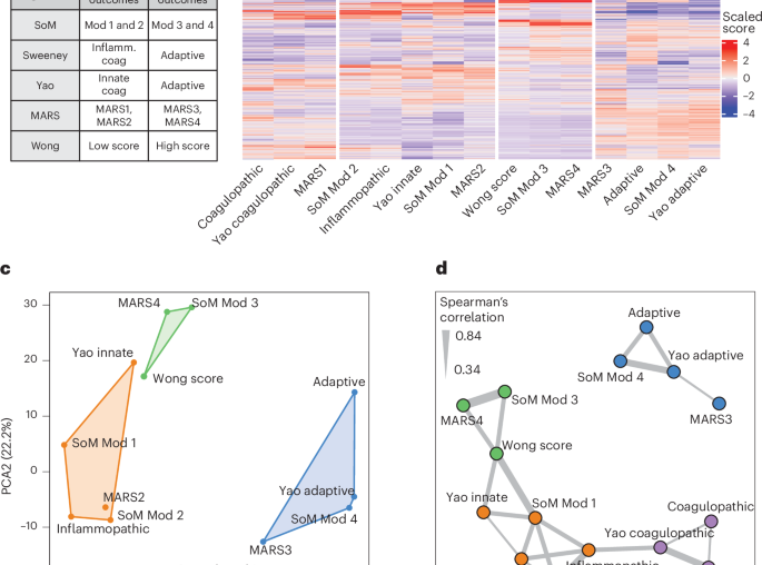 A consensus immune dysregulation framework for sepsis and critical illnesses