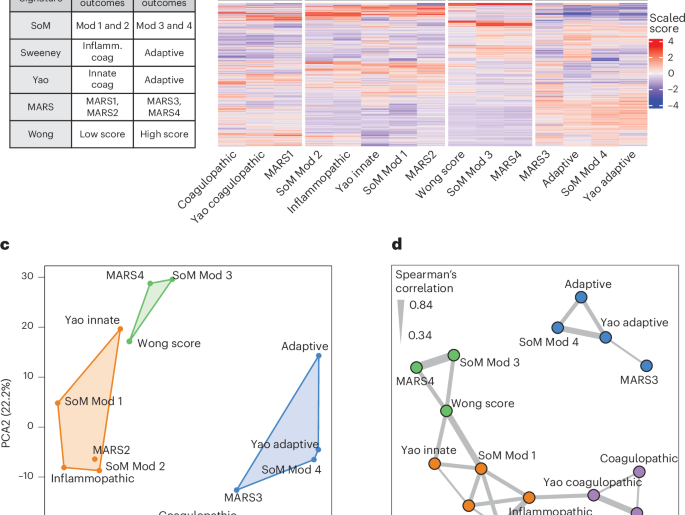 A consensus immune dysregulation framework for sepsis and critical illnesses