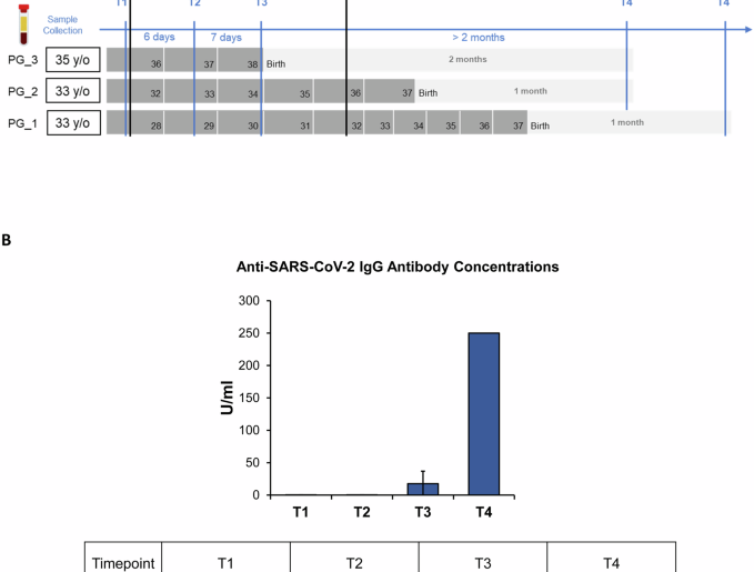 Single-cell mapping of peripheral immune dynamics in pregnant women after Moderna mRNA COVID-19 vaccination