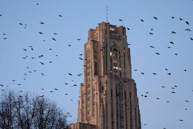 University of Pittsburgh team's FRED model tracks measles