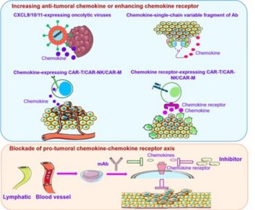 Chemokine-based strategies in cancer immunotherapy