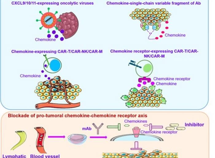 Chemokine-based strategies in cancer immunotherapy