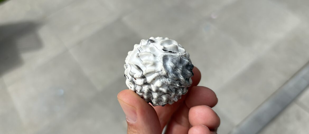 Lululemon Massage ball