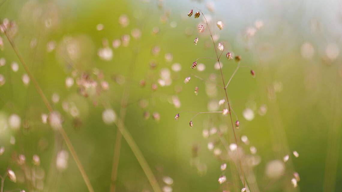 Try grounding for Earth Day: Benefits for sleep and stress