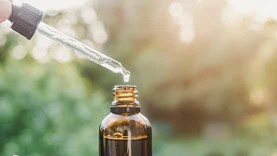 lion's mane extract dropper