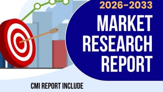 Elderberry Supplements Market