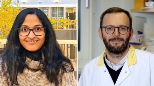 Mathew and Angeletti