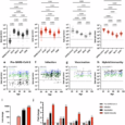 Endemic penetrance of SARS-CoV-2 has impacted marginally on immunity to spike protein of human coronaviruses