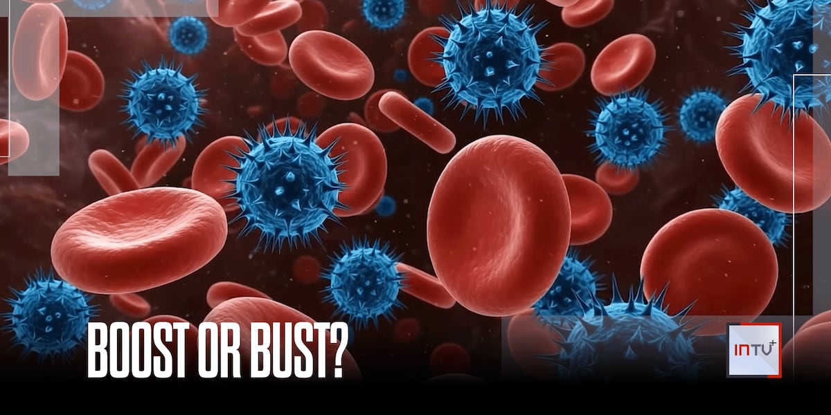 How to check your immunity and what the results mean