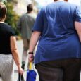 Obesity leaves lasting molecular tags on the immune system