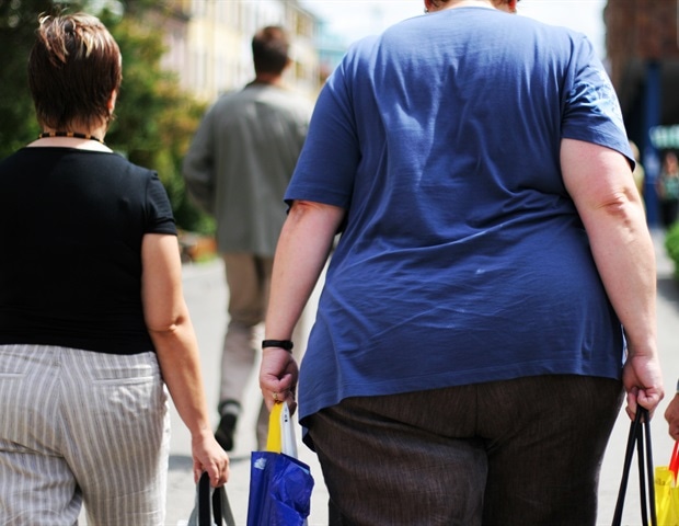 Obesity leaves lasting molecular tags on the immune system