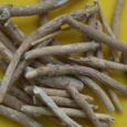 Ayush issues ban on ashwagandha leaf extracts