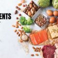Protein Ingredients Market