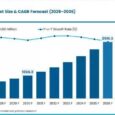 Insect Protein Market