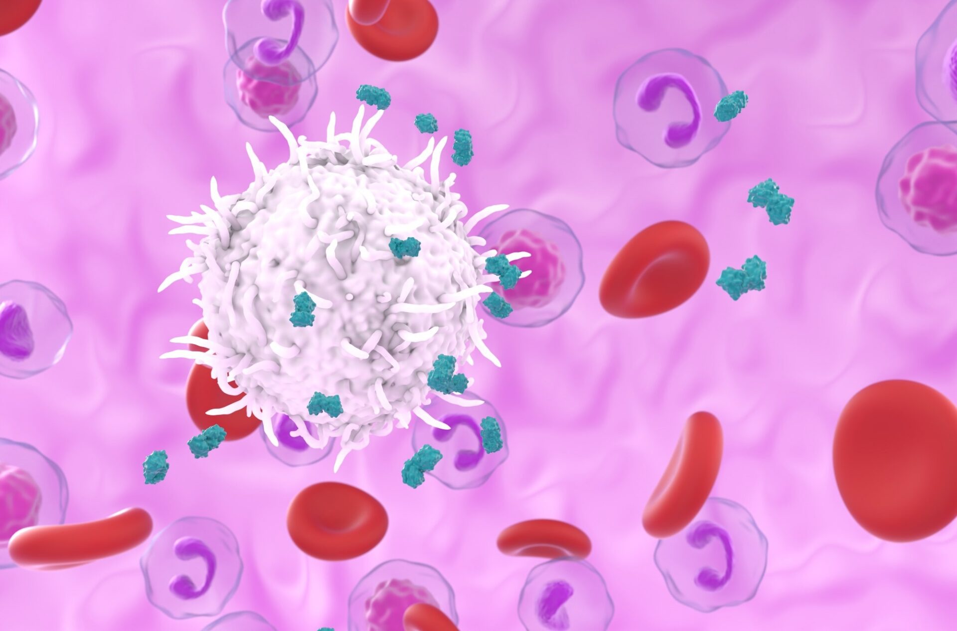 Obesity may leave immune cells stuck in inflammatory mode after weight loss
