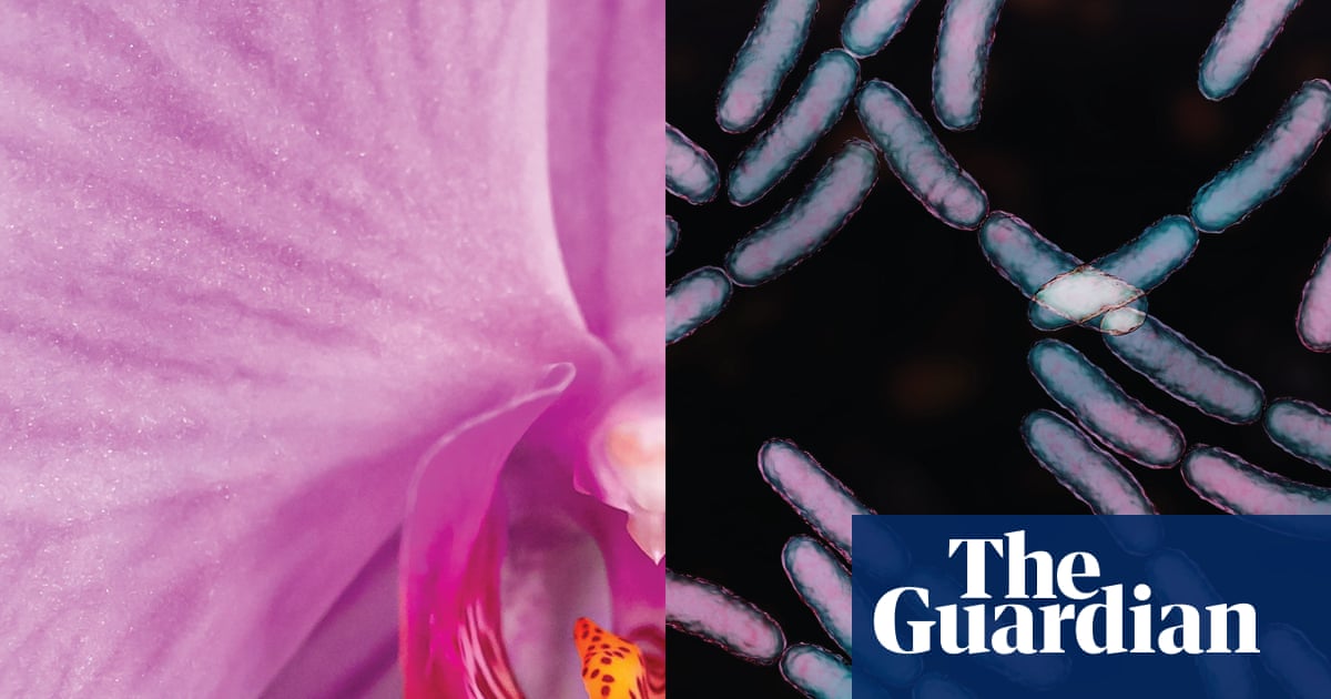 Wellness culture is trying to sell you products your vagina doesn’t need