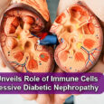 Scientists Discover Immune-Linked Variant of Diabetic Kidney Disease