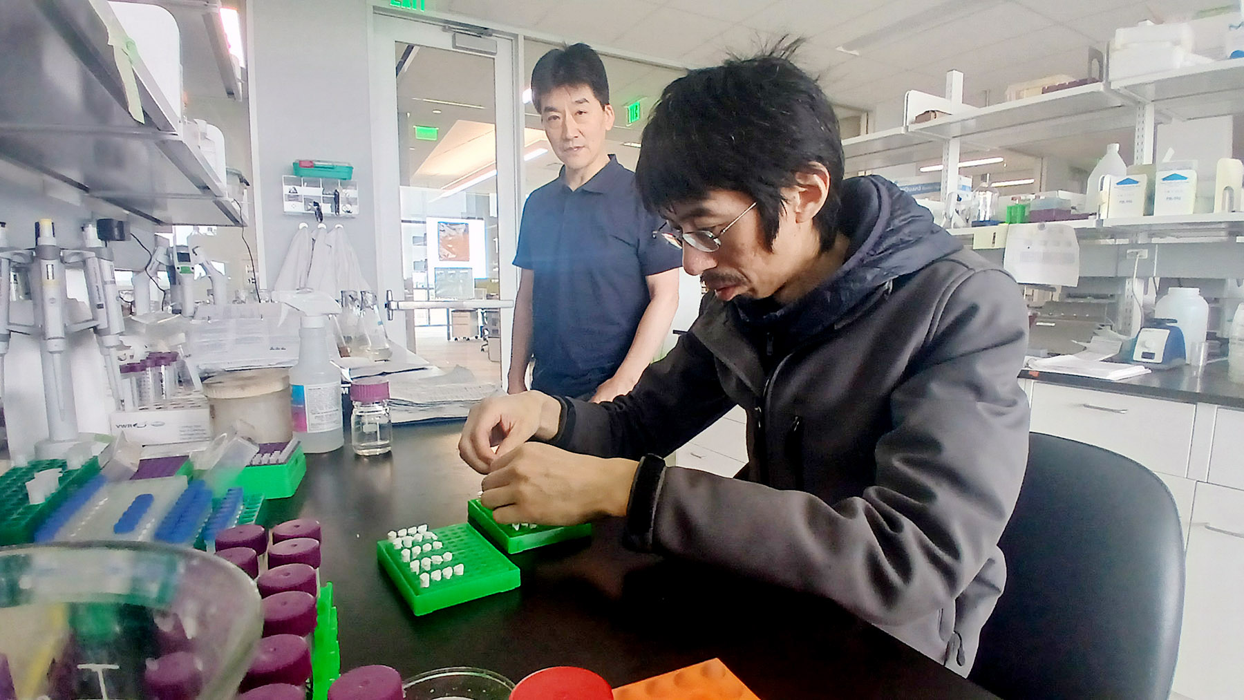Two men working at a laboratory bench in a laboratory, surrounded by lab equipment